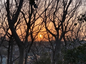 市民の森からの夕陽 市民の森からの夕陽